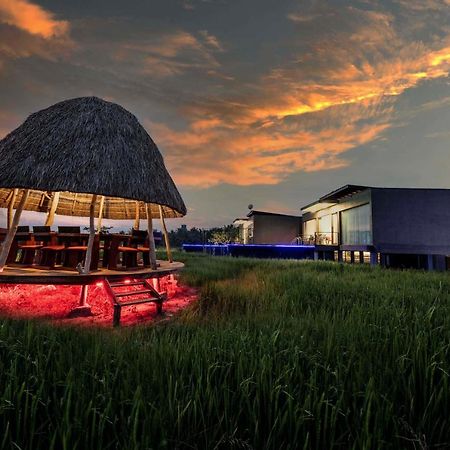 Blue Wild - Yala - Plastic Free & Sustainable Tissamaharama Bagian luar foto